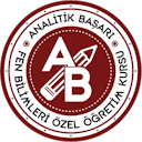 Analitik Başarı