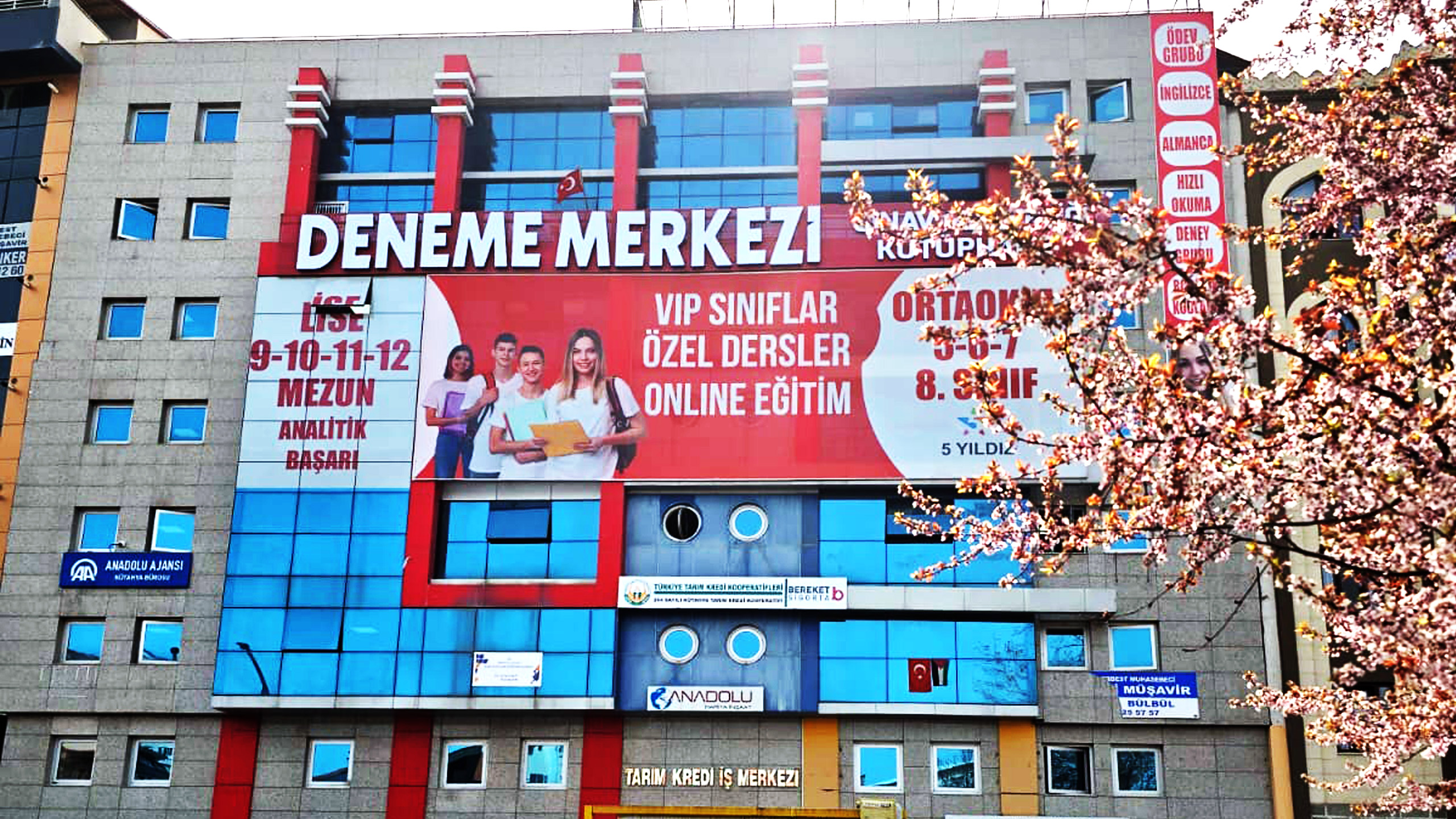 Analitik Başarı Hakkında